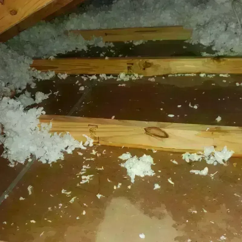 Attic Water Damage in Rolling Hills, CA