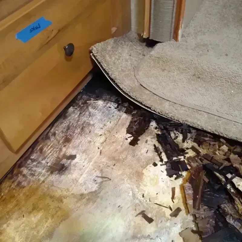 Wood Floor Water Damage in Rolling Hills, CA